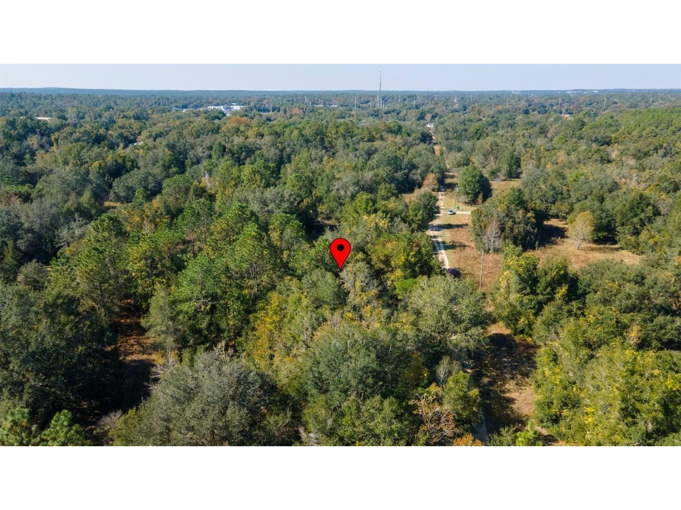 2215 Adams Street Inverness FL 34453 TB8448316 image11