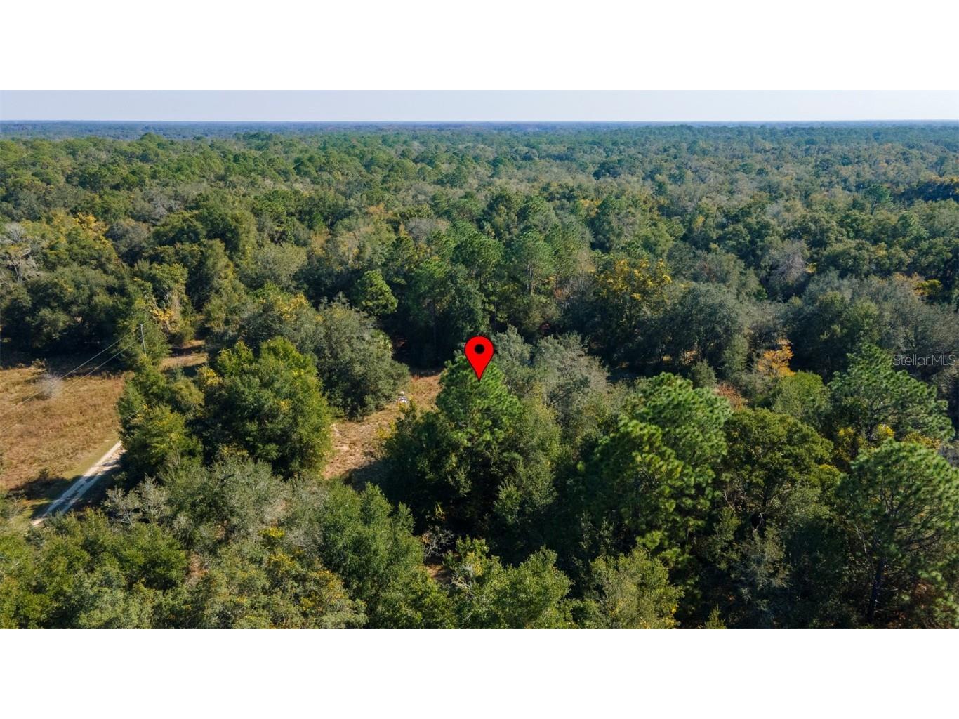 2215 Adams Street Inverness FL 34453 TB8448316 image12