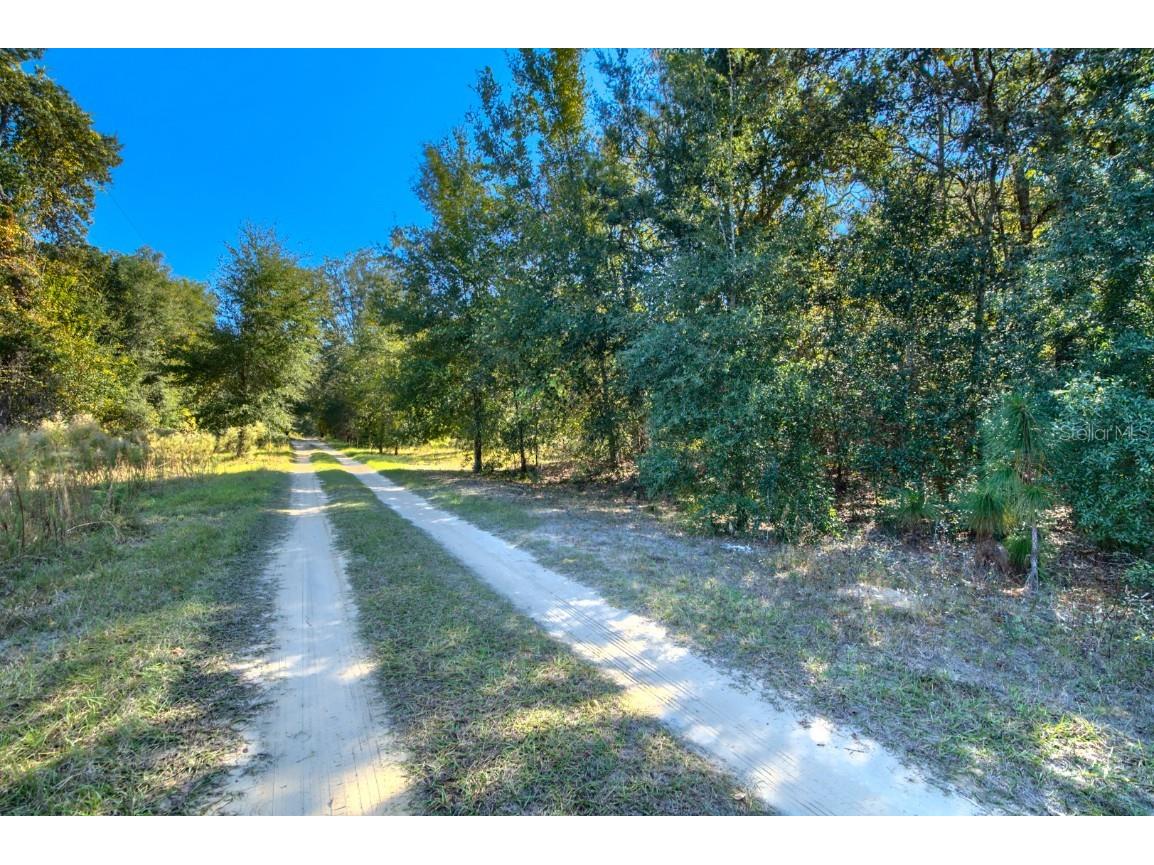 2215 Adams Street Inverness FL 34453 TB8448316 image14