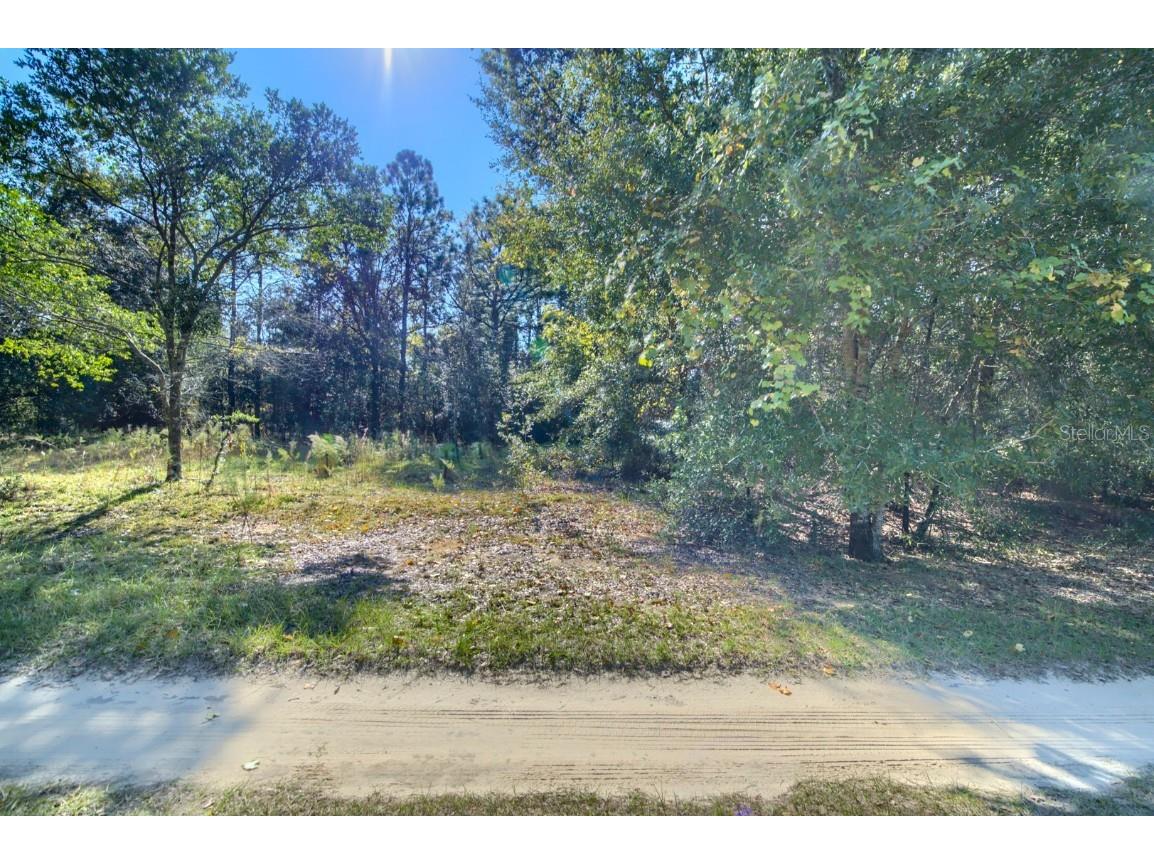 2215 Adams Street Inverness FL 34453 TB8448316 image15