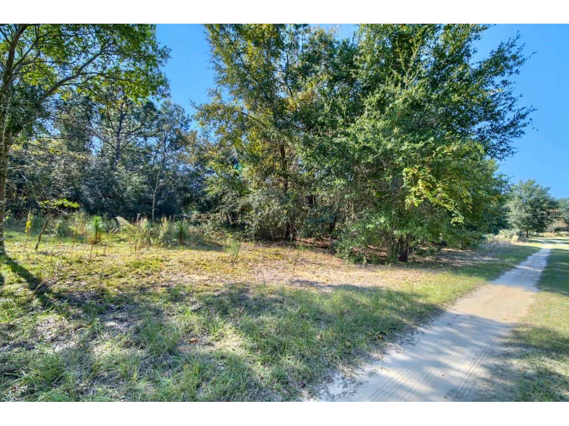 2215 Adams Street Inverness FL 34453 TB8448316 image16