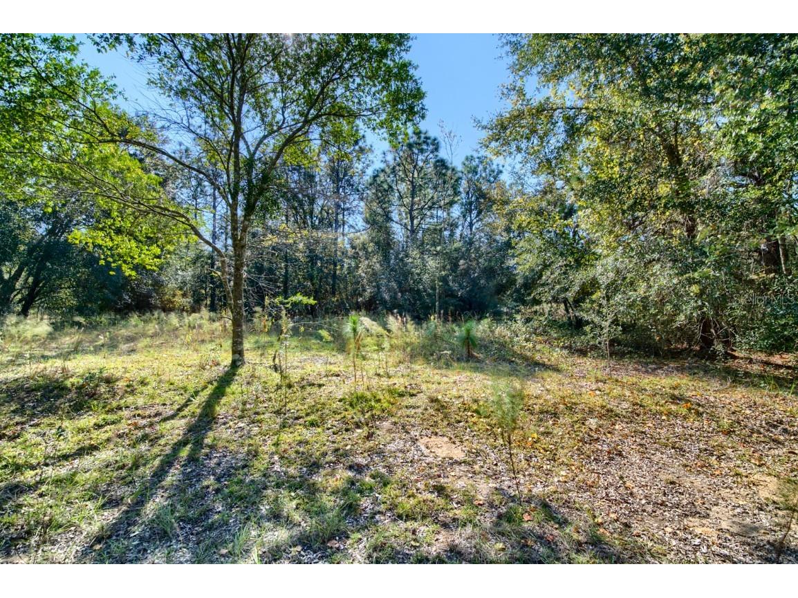 2215 Adams Street Inverness FL 34453 TB8448316 image17