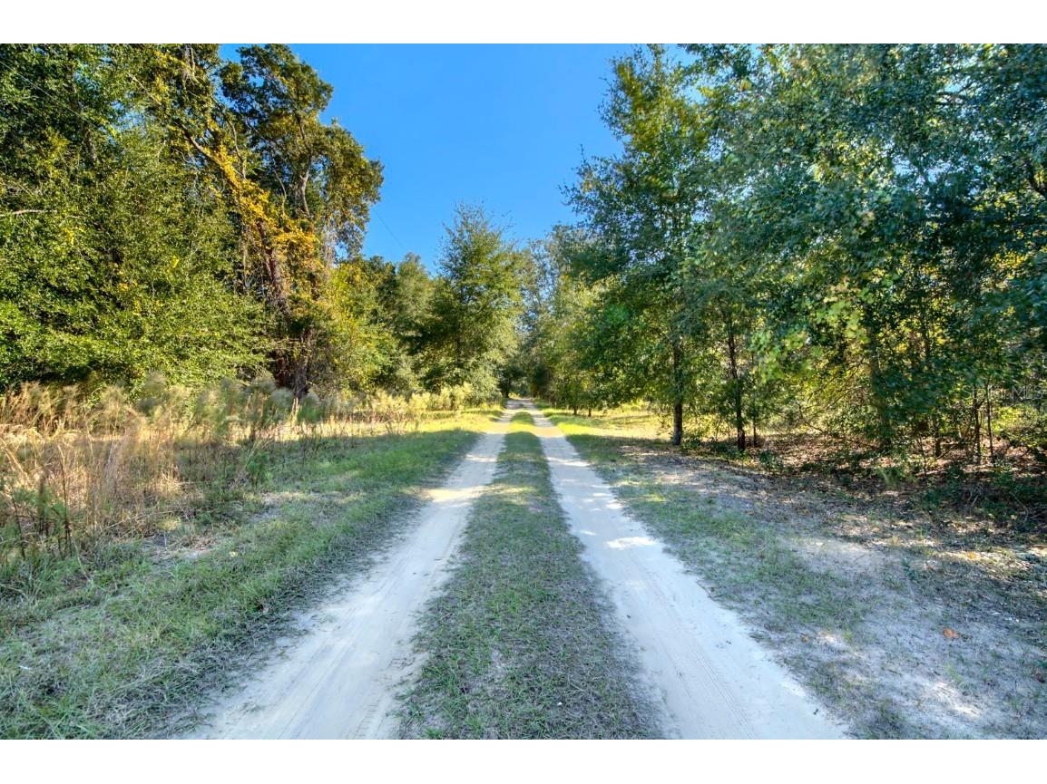 2215 Adams Street Inverness FL 34453 TB8448316 image18