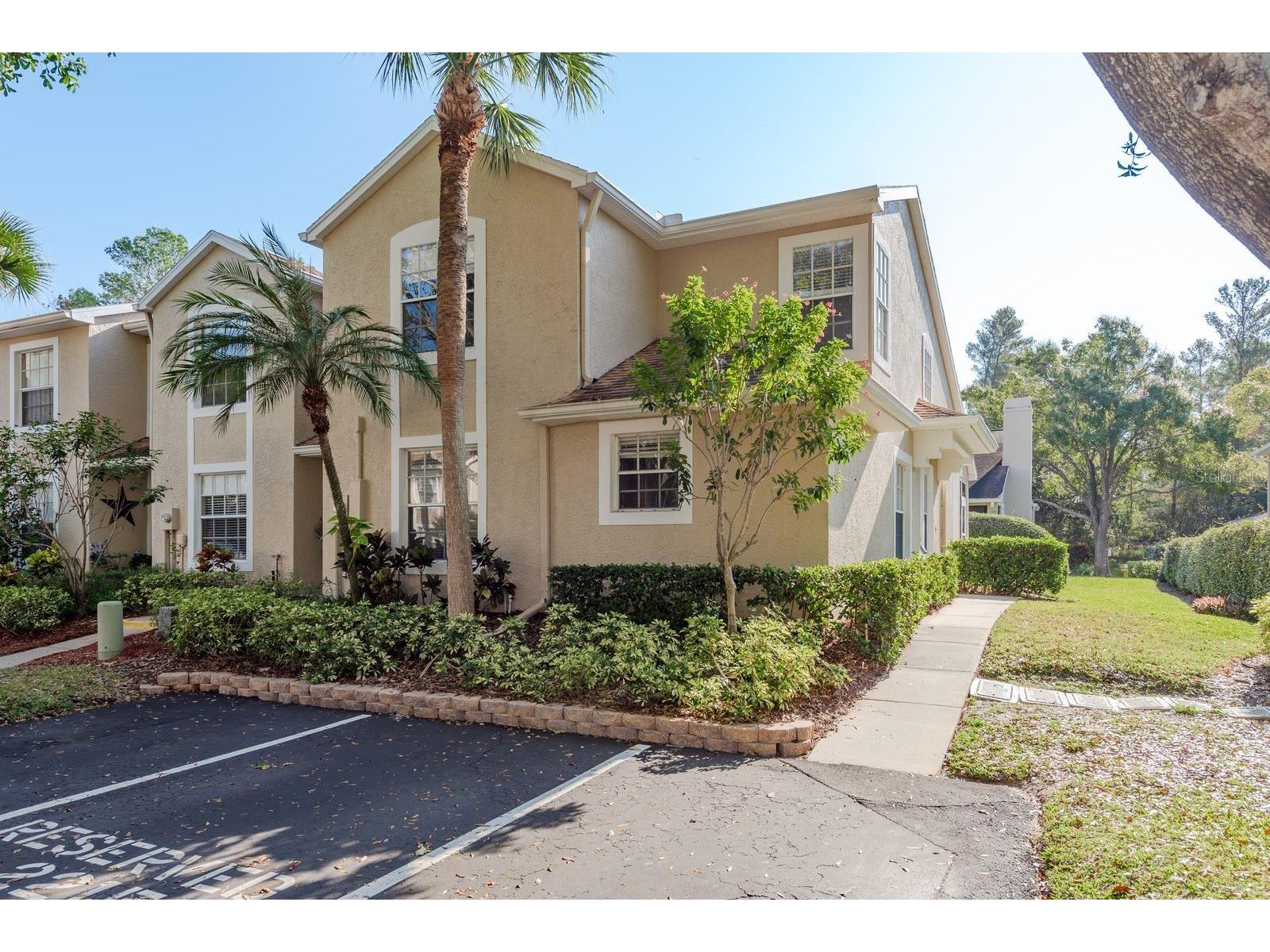 2215 Andover Circle Palm Harbor FL 34683 TB8451145 image1