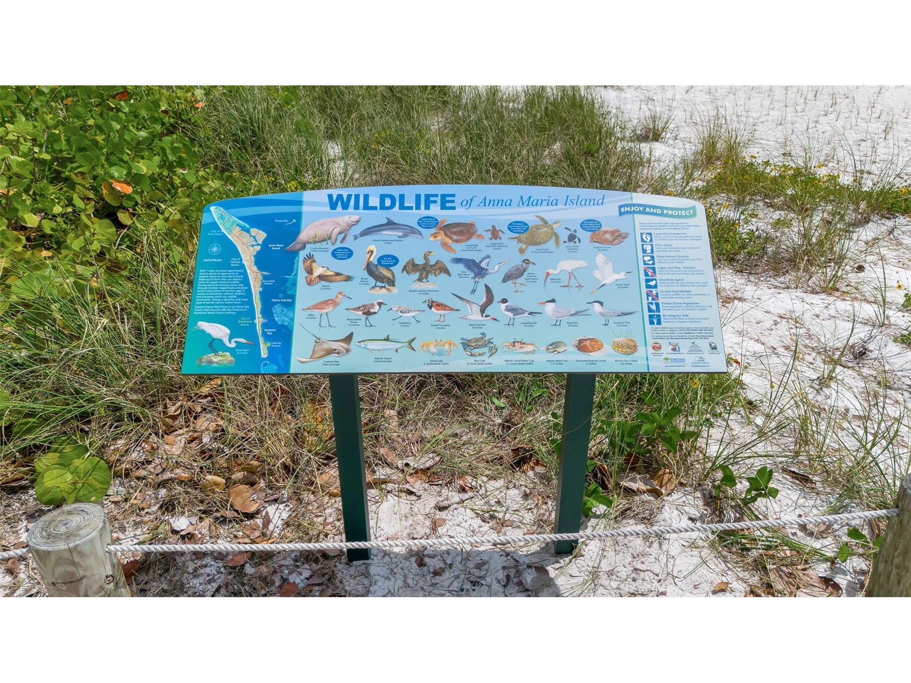 2215 Avenue C Bradenton Beach FL 34217 A4684407 image77
