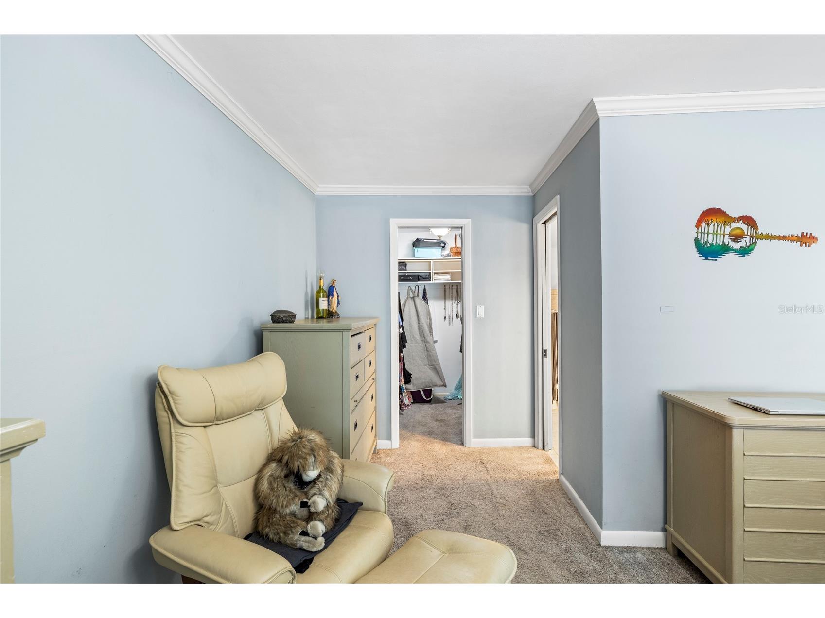 2215 Buena Vista Drive Clearwater FL 33764 TB8504911 image13