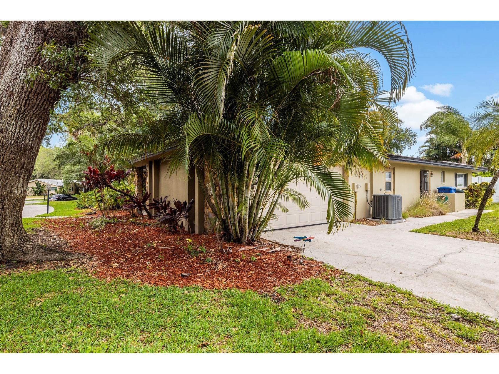 2215 Buena Vista Drive Clearwater FL 33764 TB8504911 image59