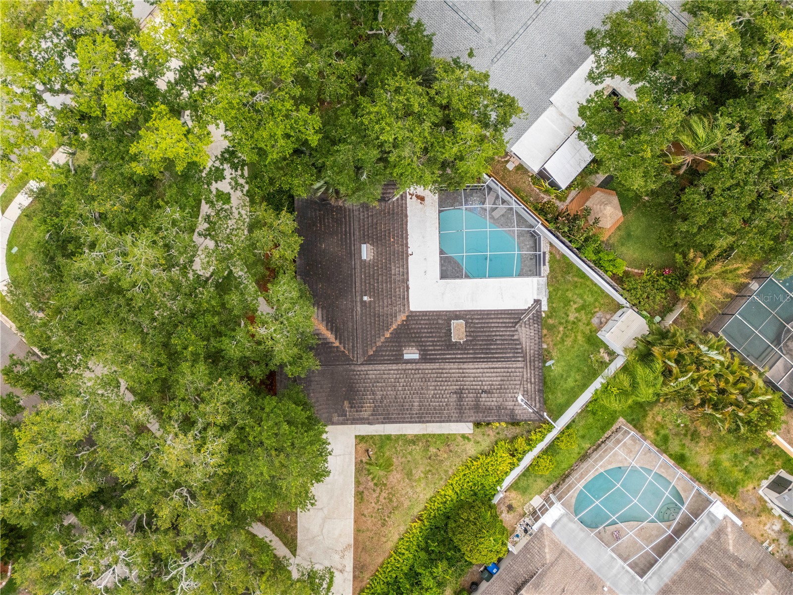 2215 Buena Vista Drive Clearwater FL 33764 TB8504911 image65