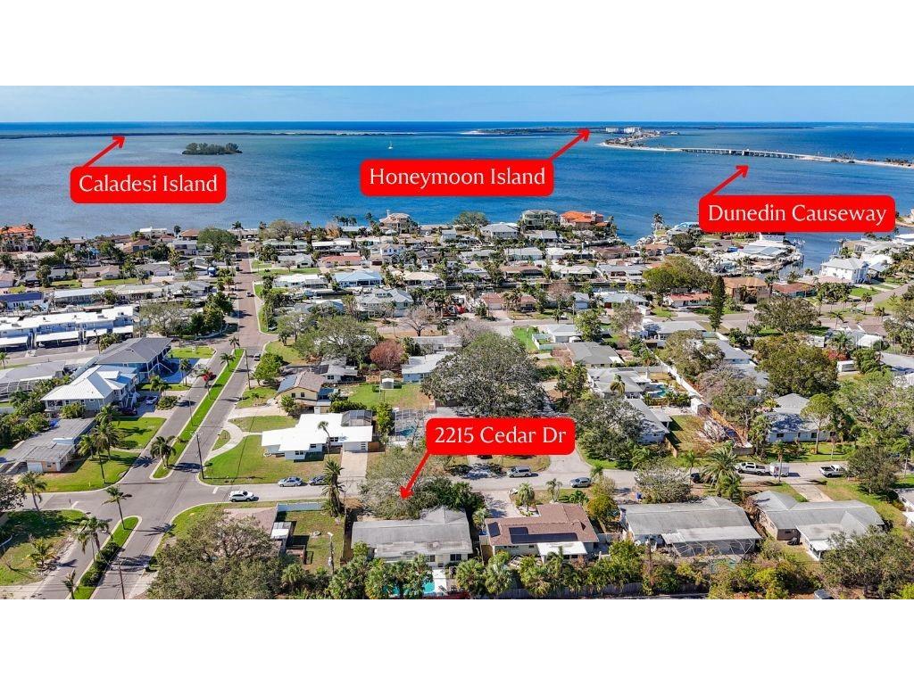 2215 Cedar Drive Dunedin FL 34698 TB8321515 image1