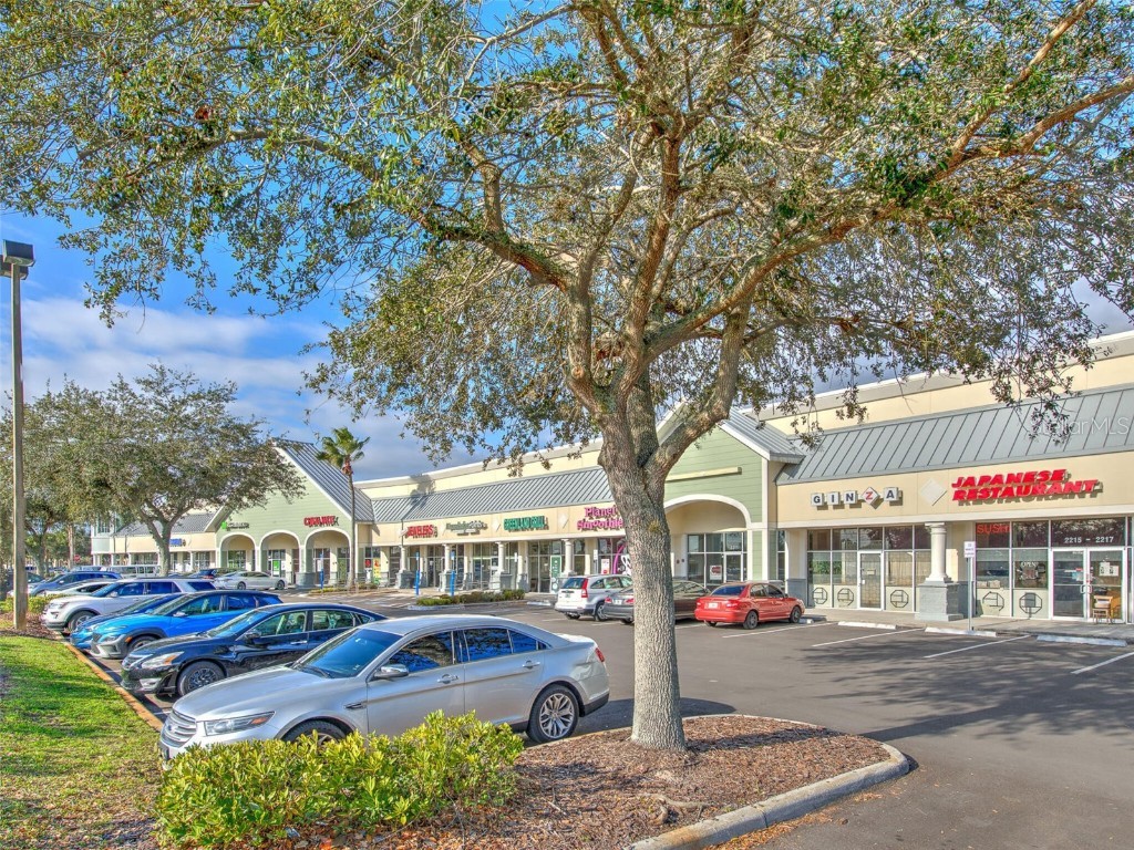 2215 Collier Parkway Land O Lakes FL 34639 T3494217 image2