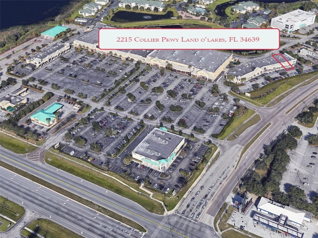 2215 Collier Parkway Land O Lakes FL 34639 T3494217 image43
