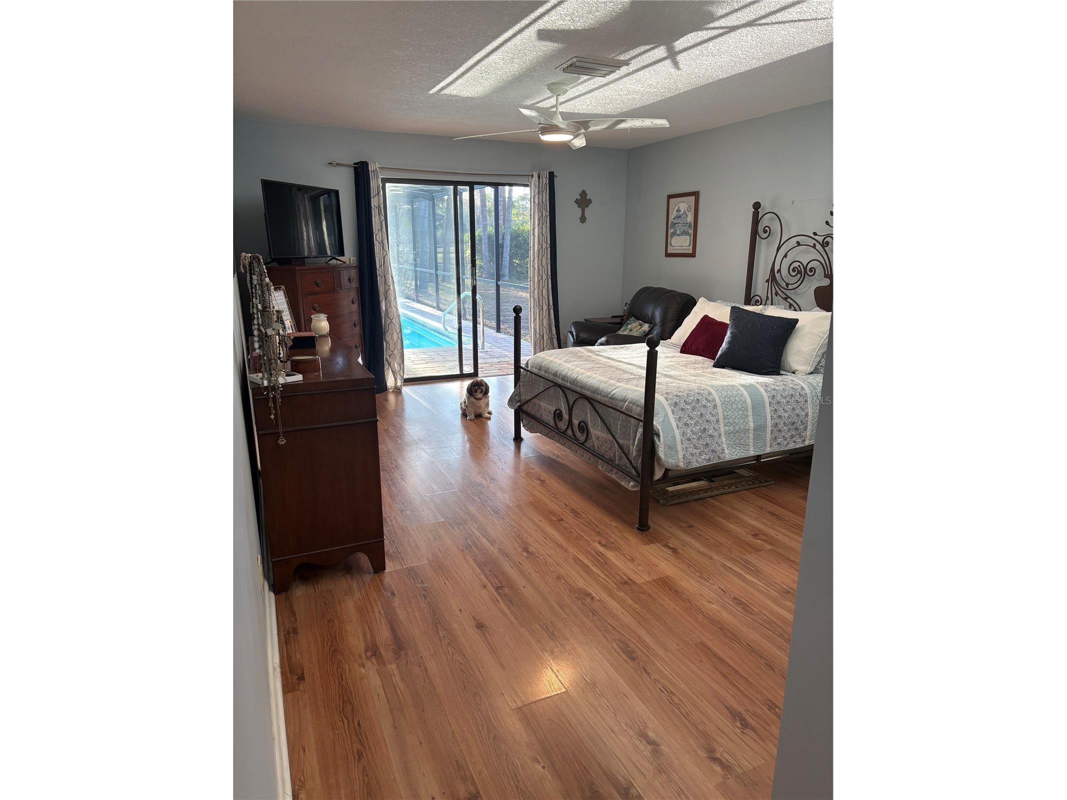 2215 Toniwood Lane Palm Harbor FL 34685 TB8463385 image24