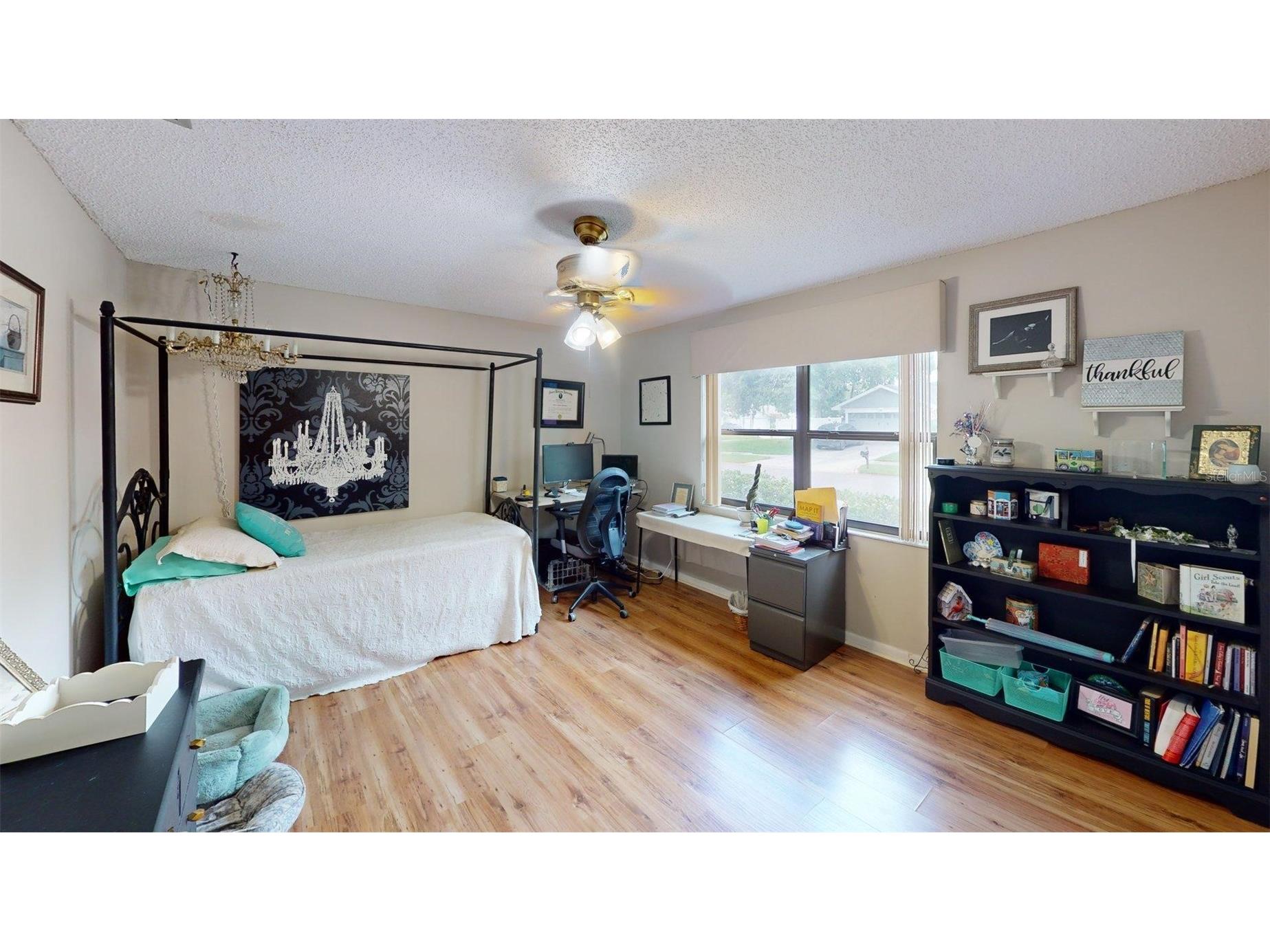 2215 Toniwood Lane Palm Harbor FL 34685 TB8463385 image36
