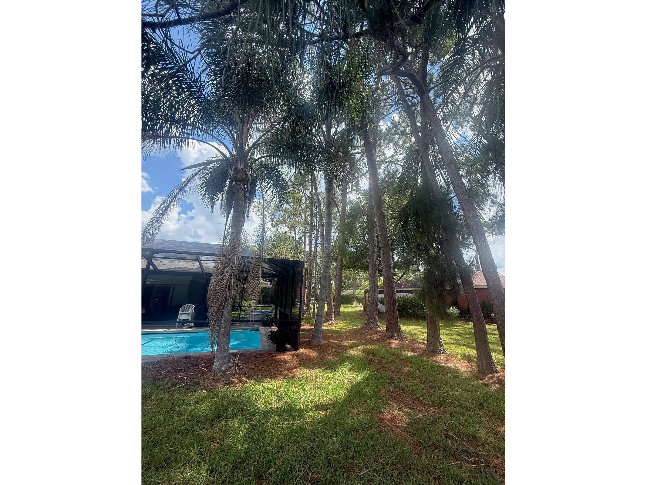 2215 Toniwood Lane Palm Harbor FL 34685 TB8463385 image50