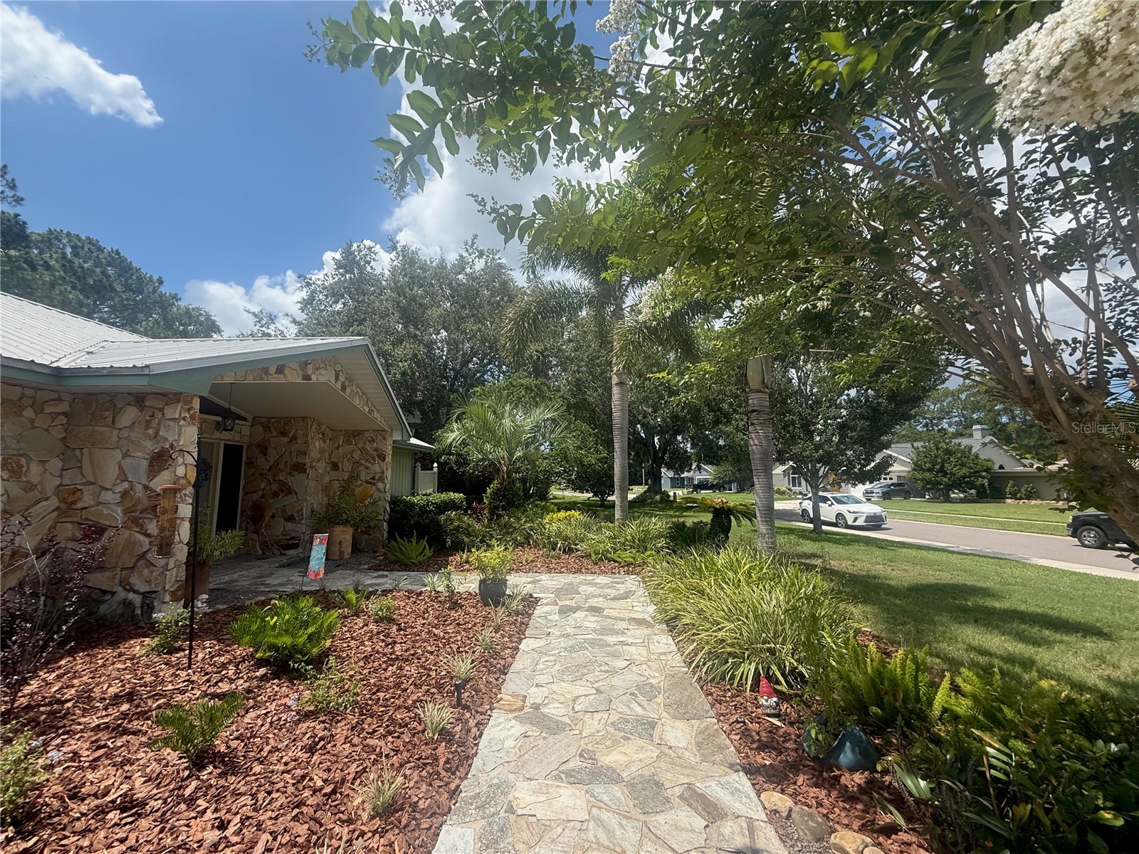 2215 Toniwood Lane Palm Harbor FL 34685 TB8463385 image6