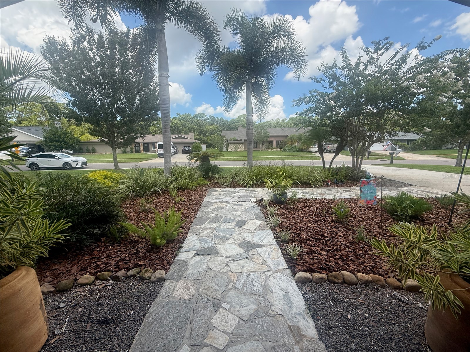 2215 Toniwood Lane Palm Harbor FL 34685 TB8463385 image7