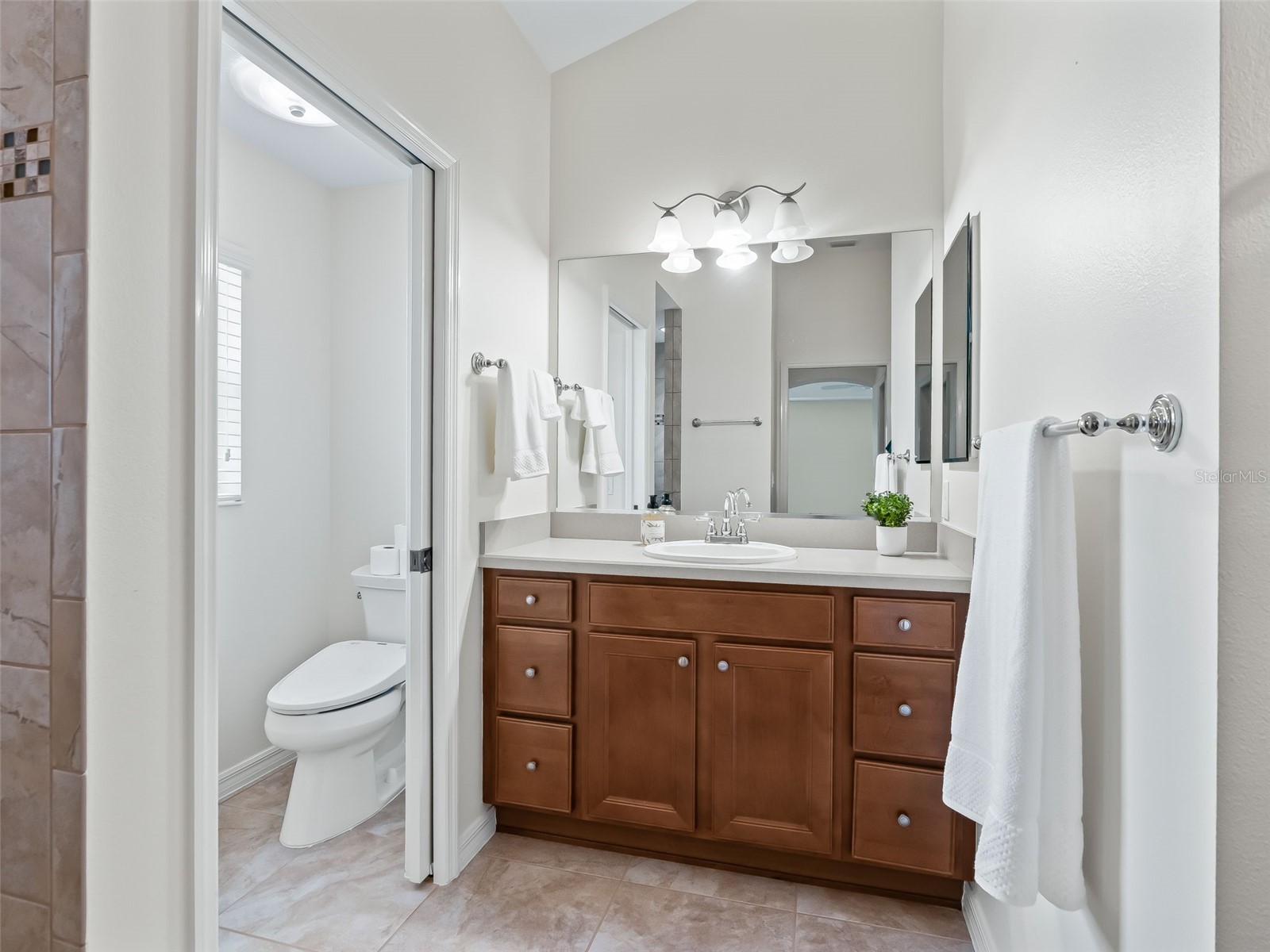 2215 Triggerfish Run The Villages FL 32162 G5114282 image23