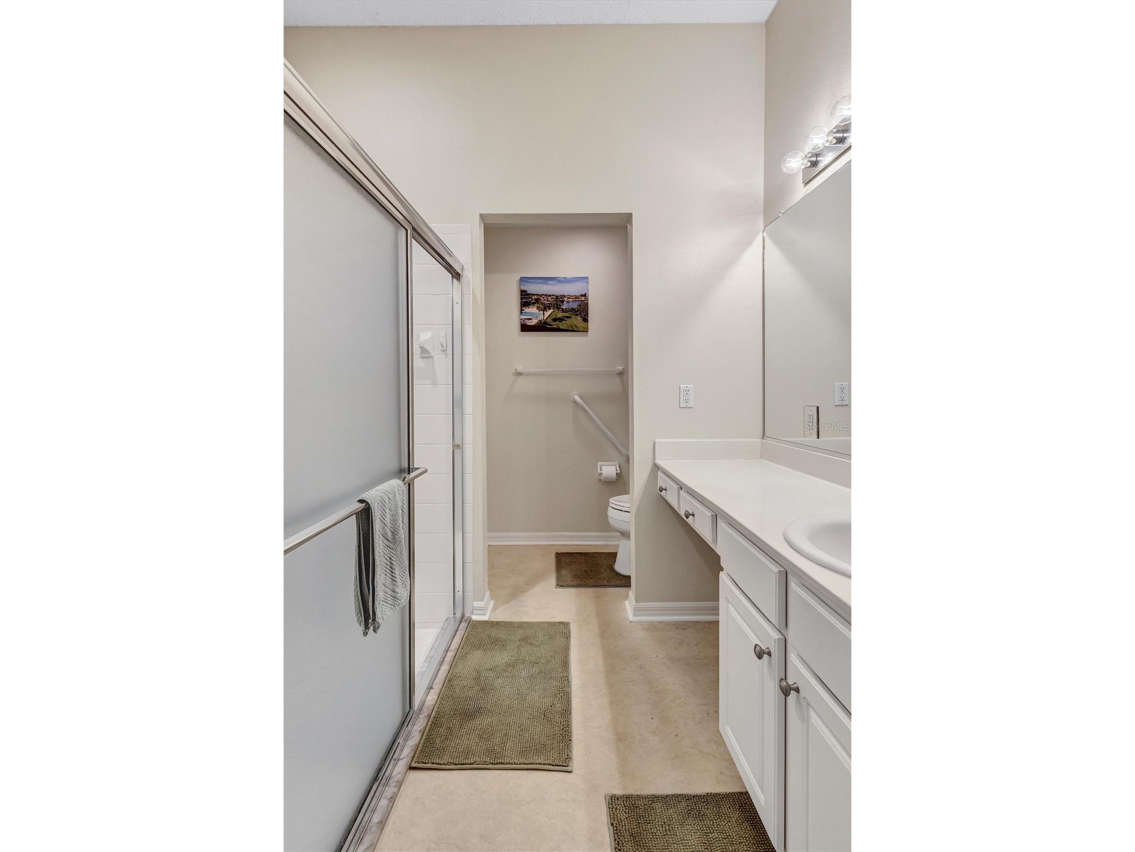 2215 Worthington Greens Drive #20 Sun City Center FL 33573 A4685313 image18
