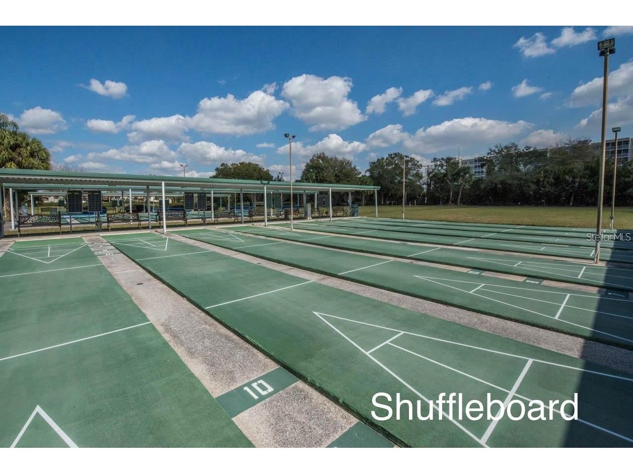 2215 Worthington Greens Drive #20 Sun City Center FL 33573 A4685313 image49