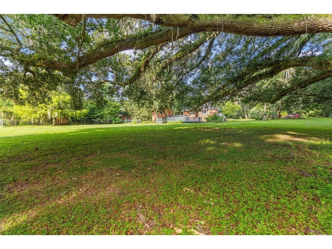 22157 NW 87th Avenue Road Micanopy FL 32667 OM706509 image47