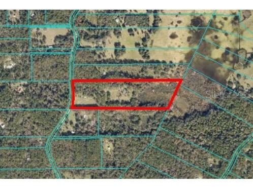 22157 NW 87th Avenue Road Micanopy FL 32667 OM706509 image7