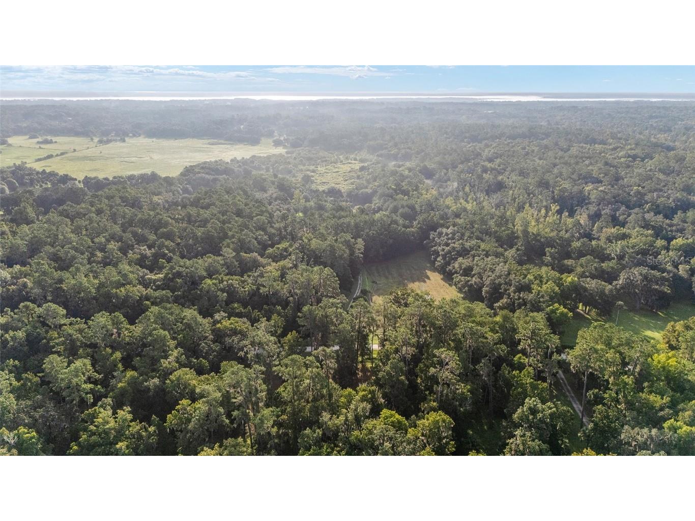 22157 NW 87th Avenue Road Micanopy FL 32667 OM706509 image75