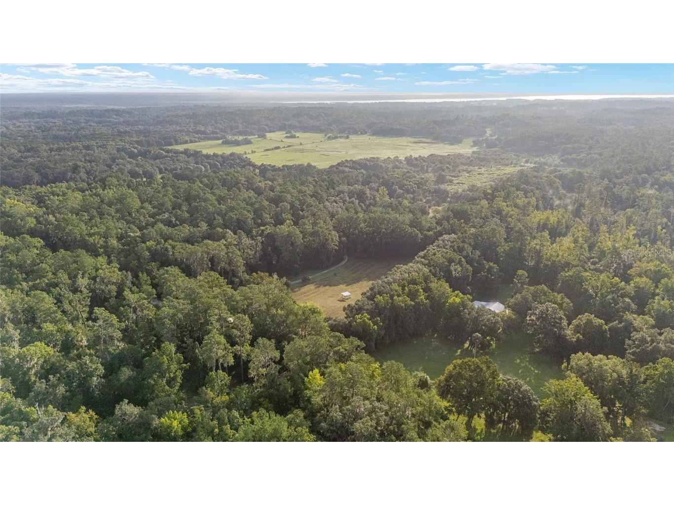 22157 NW 87th Avenue Road Micanopy FL 32667 OM706509 image77