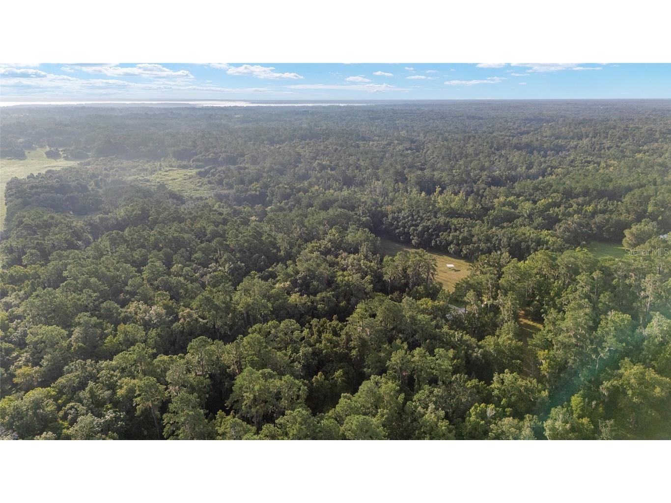 22157 NW 87th Avenue Road Micanopy FL 32667 OM706509 image78