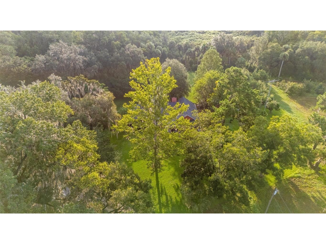 22157 NW 87th Avenue Road Micanopy FL 32667 OM706509 image80