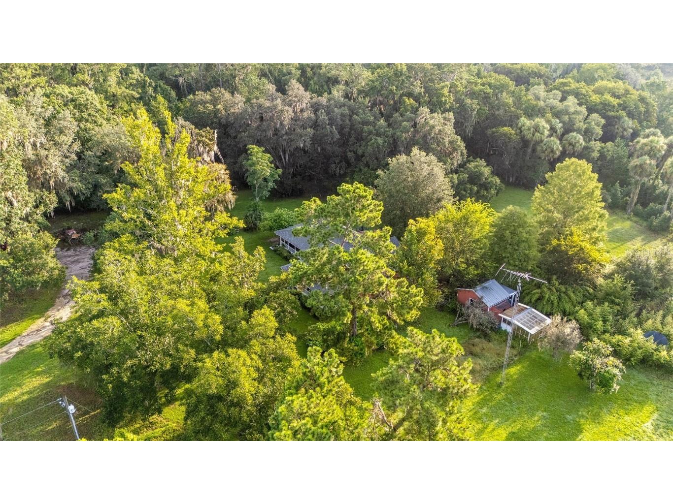 22157 NW 87th Avenue Road Micanopy FL 32667 OM706509 image81