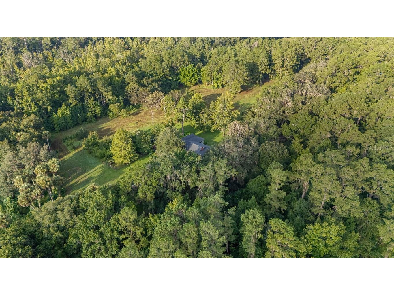 22157 NW 87th Avenue Road Micanopy FL 32667 OM706509 image85