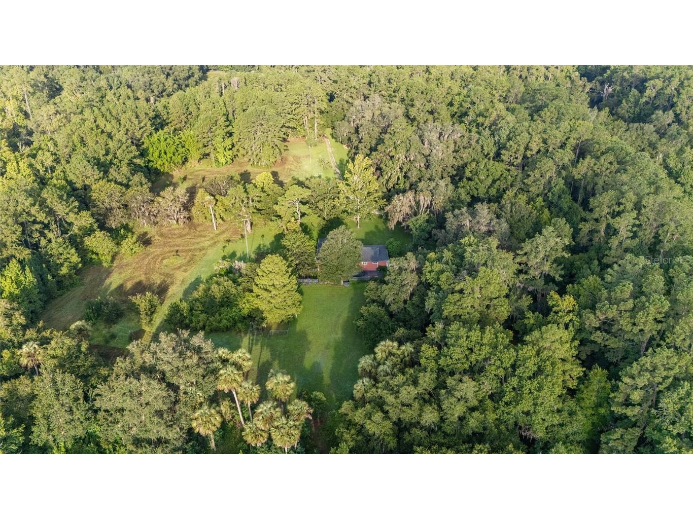 22157 NW 87th Avenue Road Micanopy FL 32667 OM706509 image86