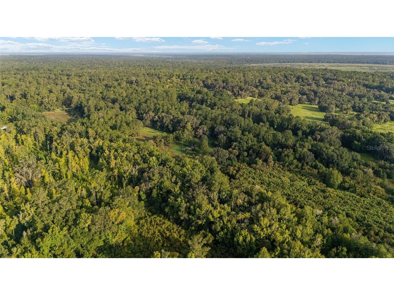 22157 NW 87th Avenue Road Micanopy FL 32667 OM706509 image88