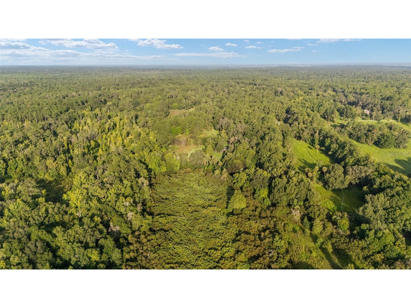 22157 NW 87th Avenue Road Micanopy FL 32667 OM706509 image89