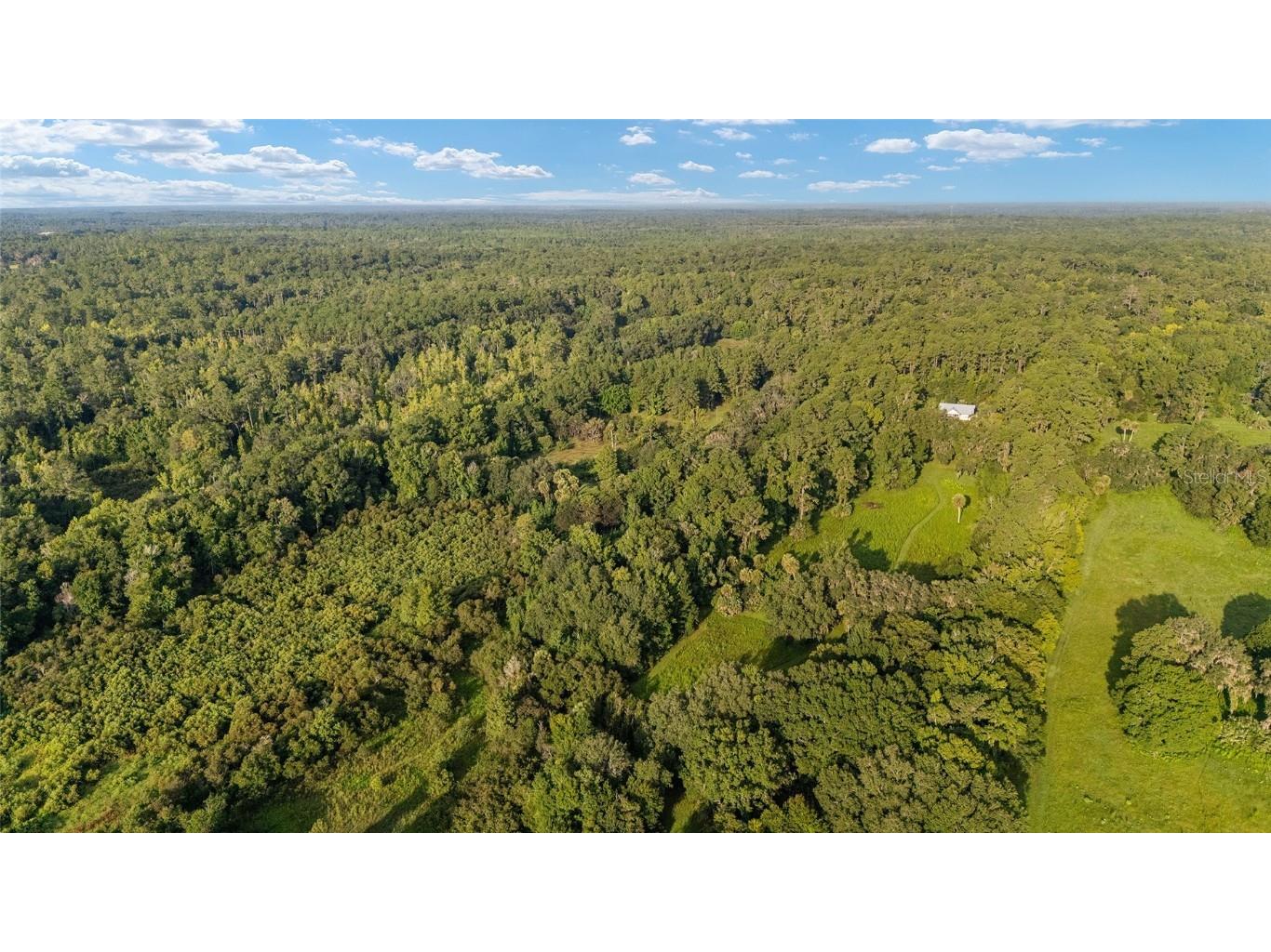 22157 NW 87th Avenue Road Micanopy FL 32667 OM706509 image90