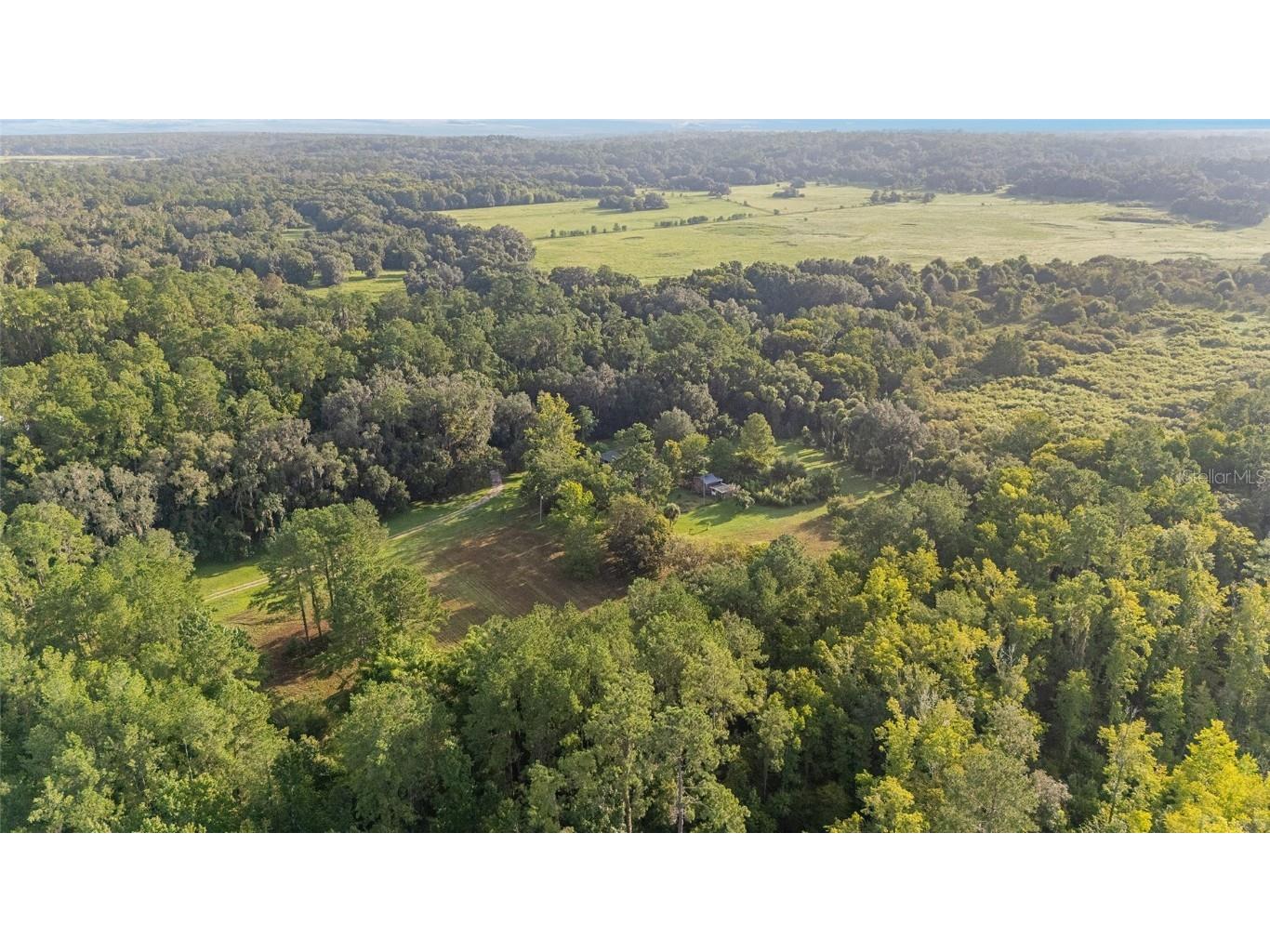 22157 NW 87th Avenue Road Micanopy FL 32667 OM706509 image92