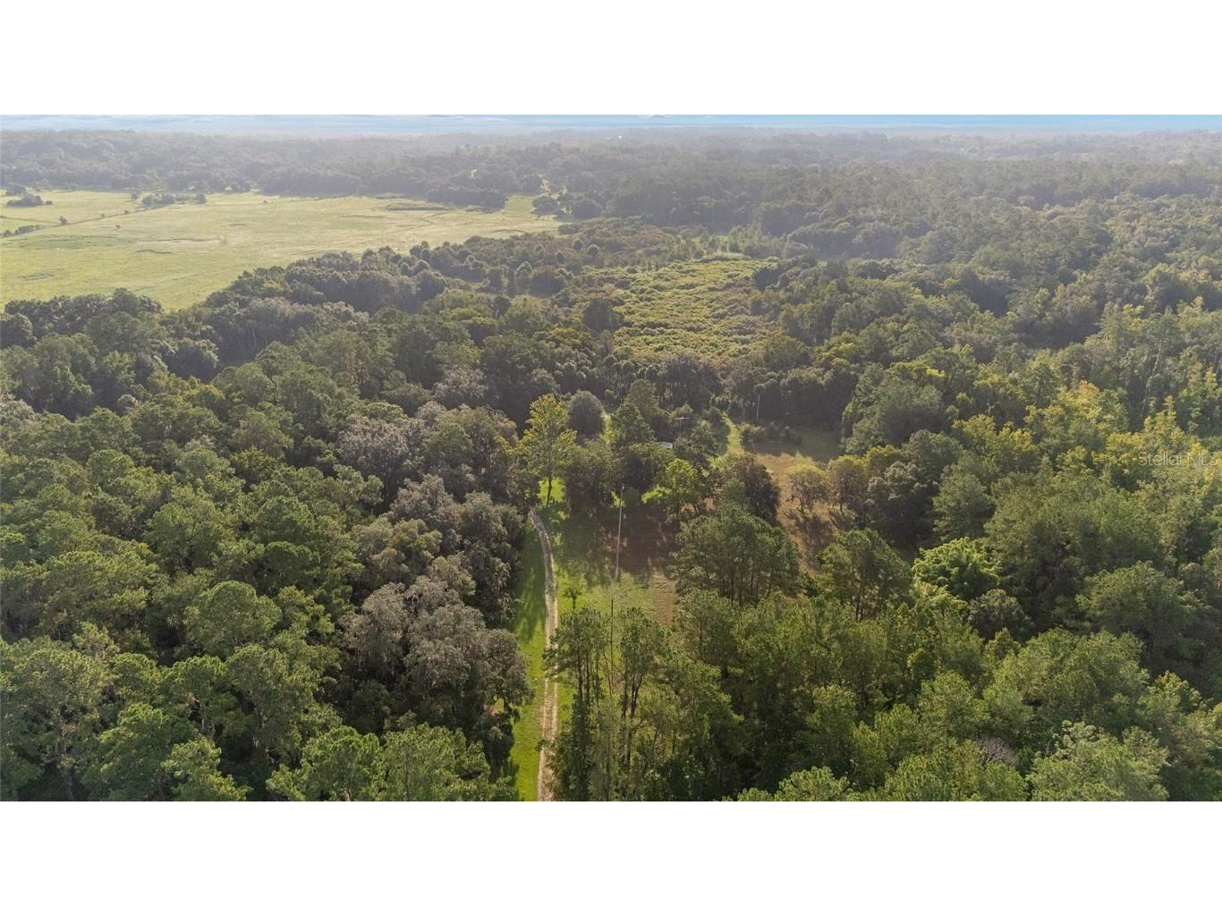 22157 NW 87th Avenue Road Micanopy FL 32667 OM706509 image93