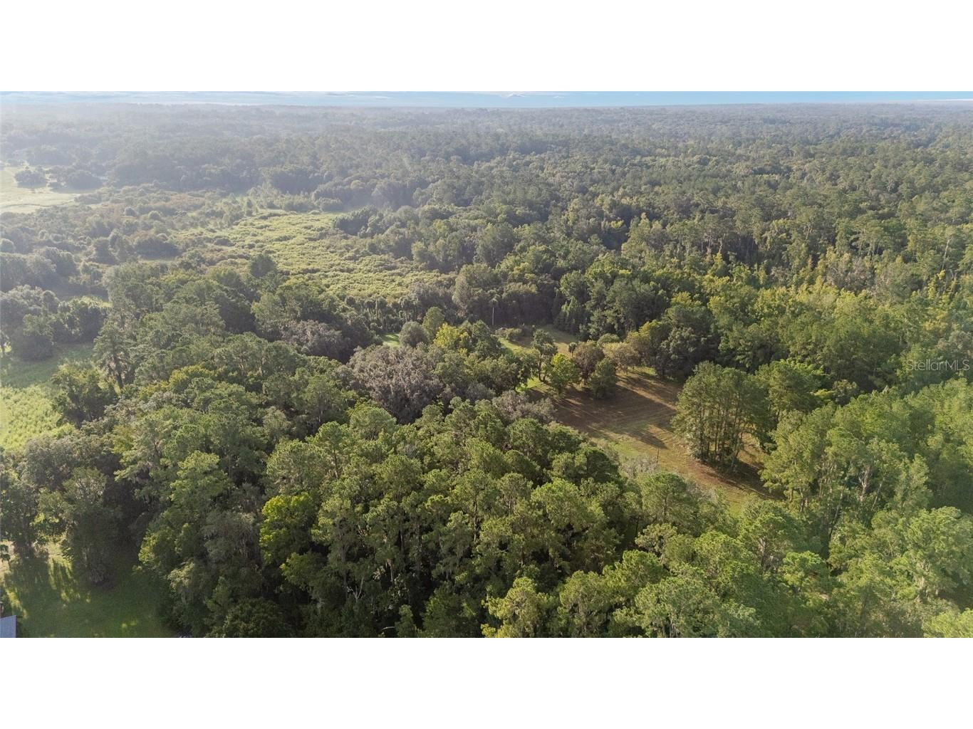 22157 NW 87th Avenue Road Micanopy FL 32667 OM706509 image94