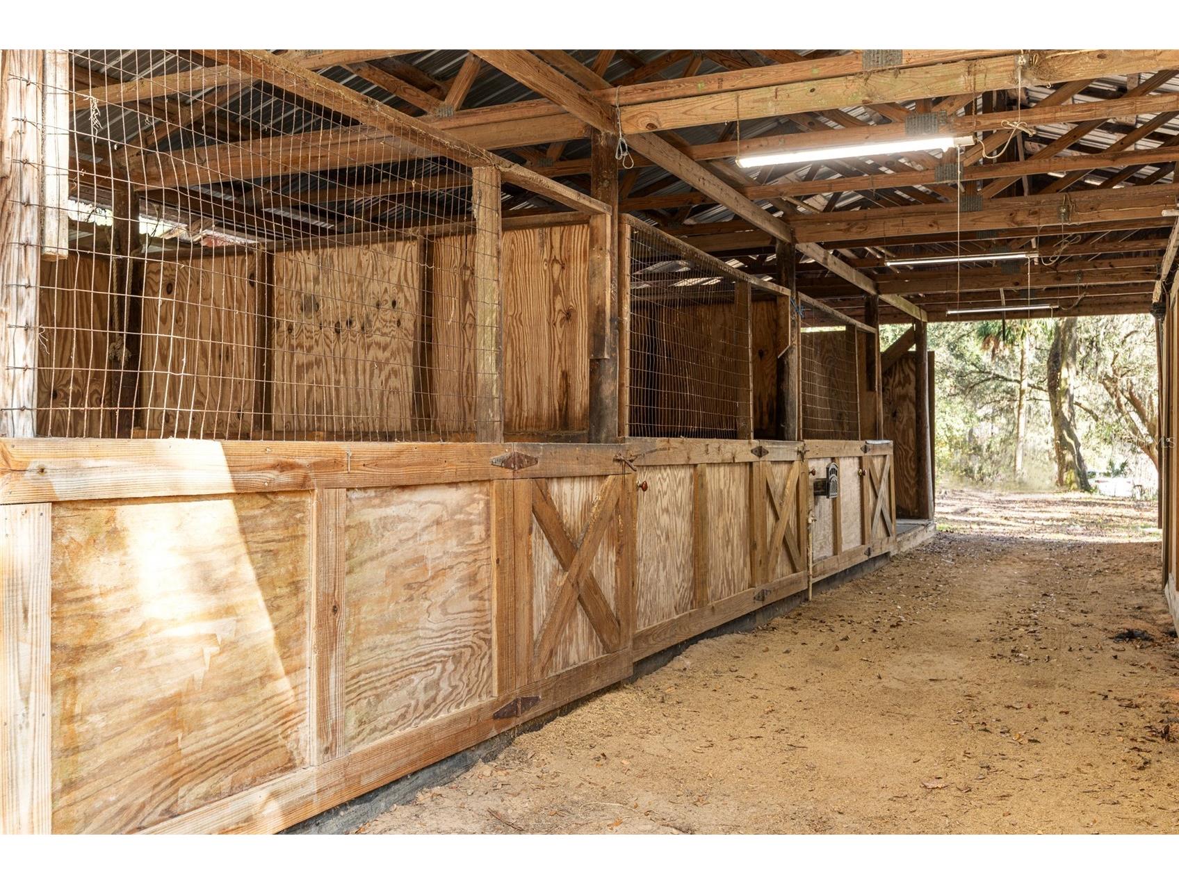 22157 NW 87th Avenue Road Micanopy FL 32667 OM718344 image24