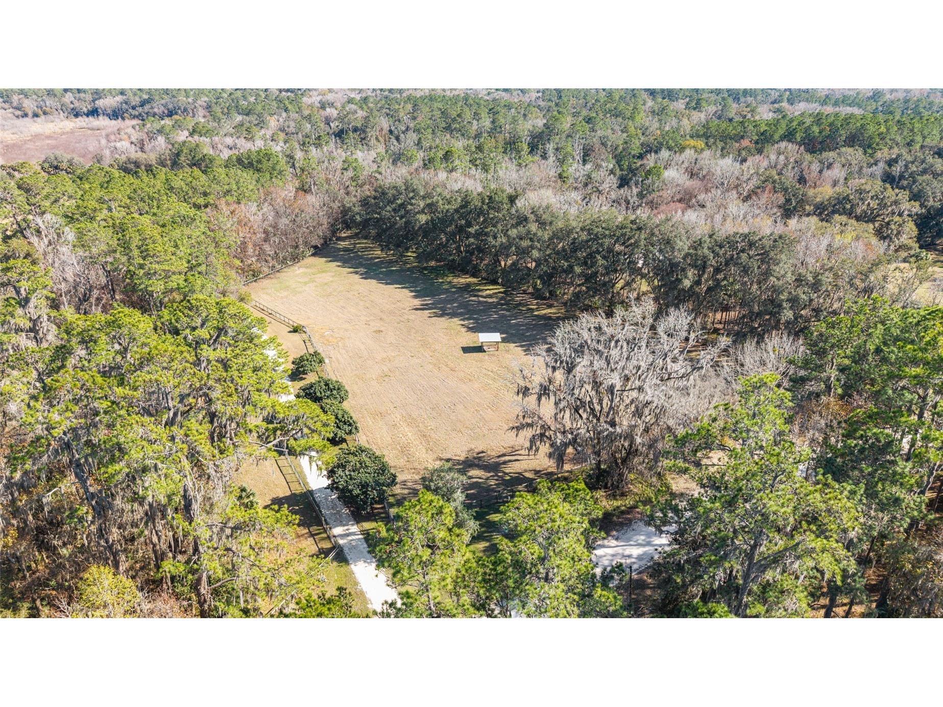 22157 NW 87th Avenue Road Micanopy FL 32667 OM718344 image30
