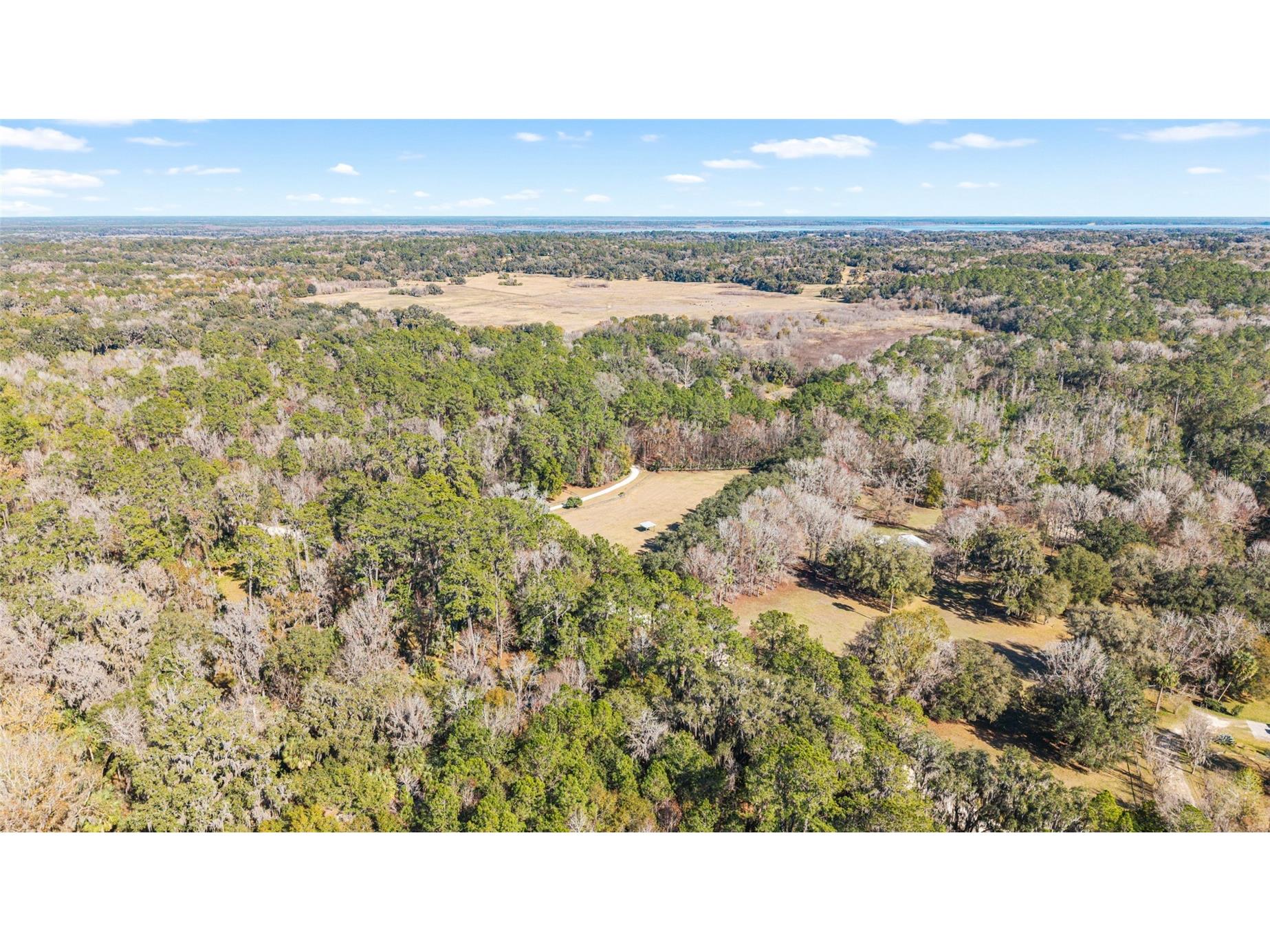 22157 NW 87th Avenue Road Micanopy FL 32667 OM718344 image32
