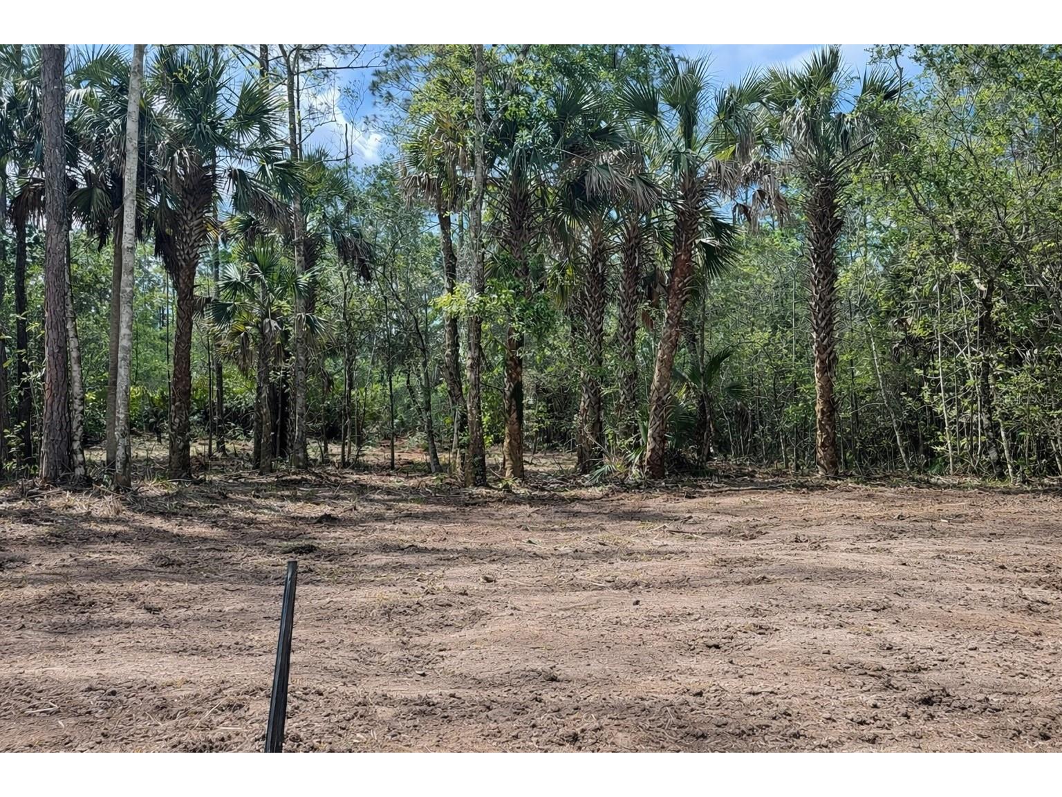 2216 Laurel Avenue Bunnell FL 32110 FC317644 image1