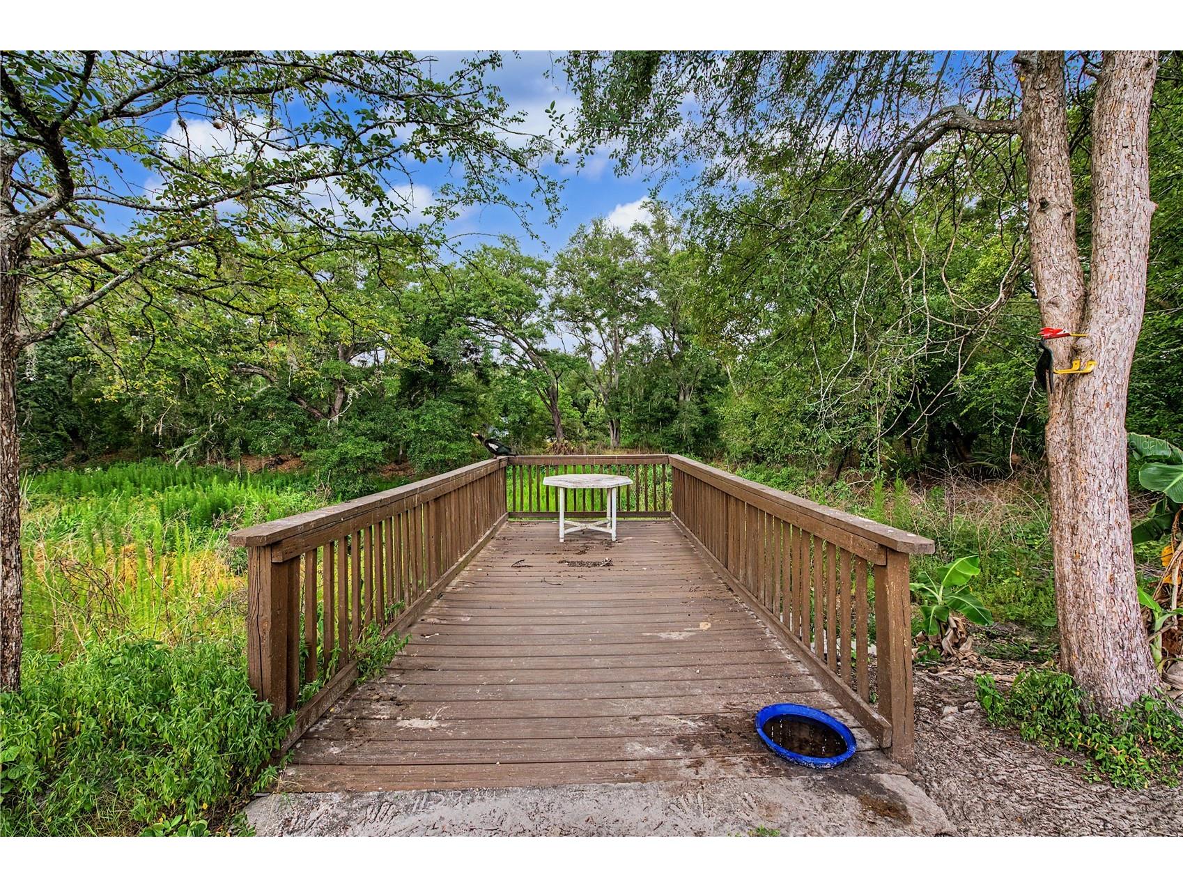 2216 Pinecrest Drive Lutz FL 33549 TB8518844 image28
