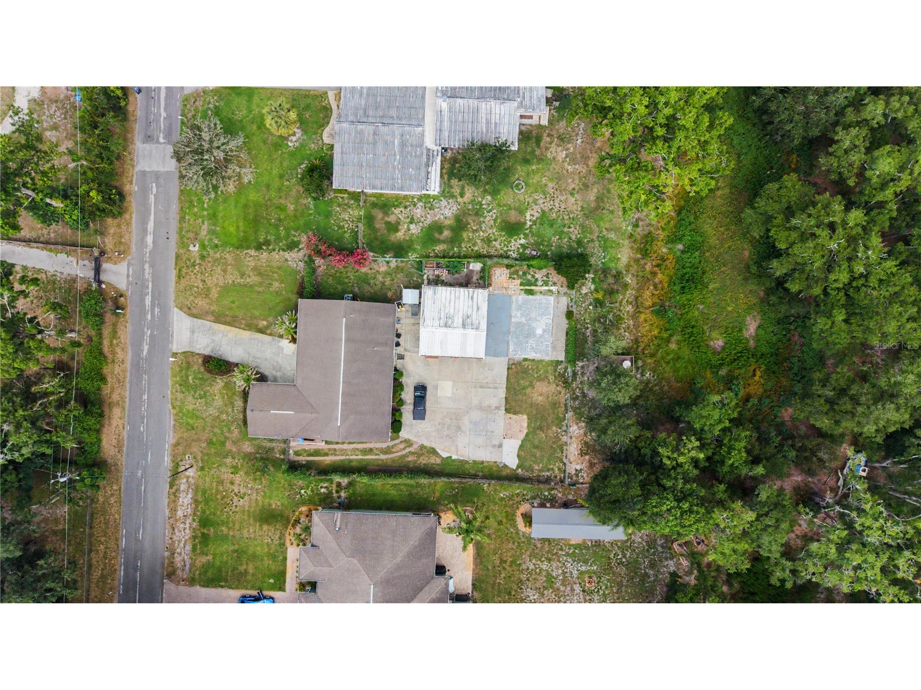 2216 Pinecrest Drive Lutz FL 33549 TB8518844 image29