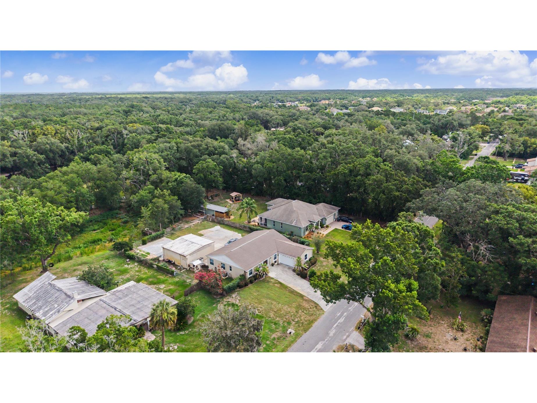 2216 Pinecrest Drive Lutz FL 33549 TB8518844 image32