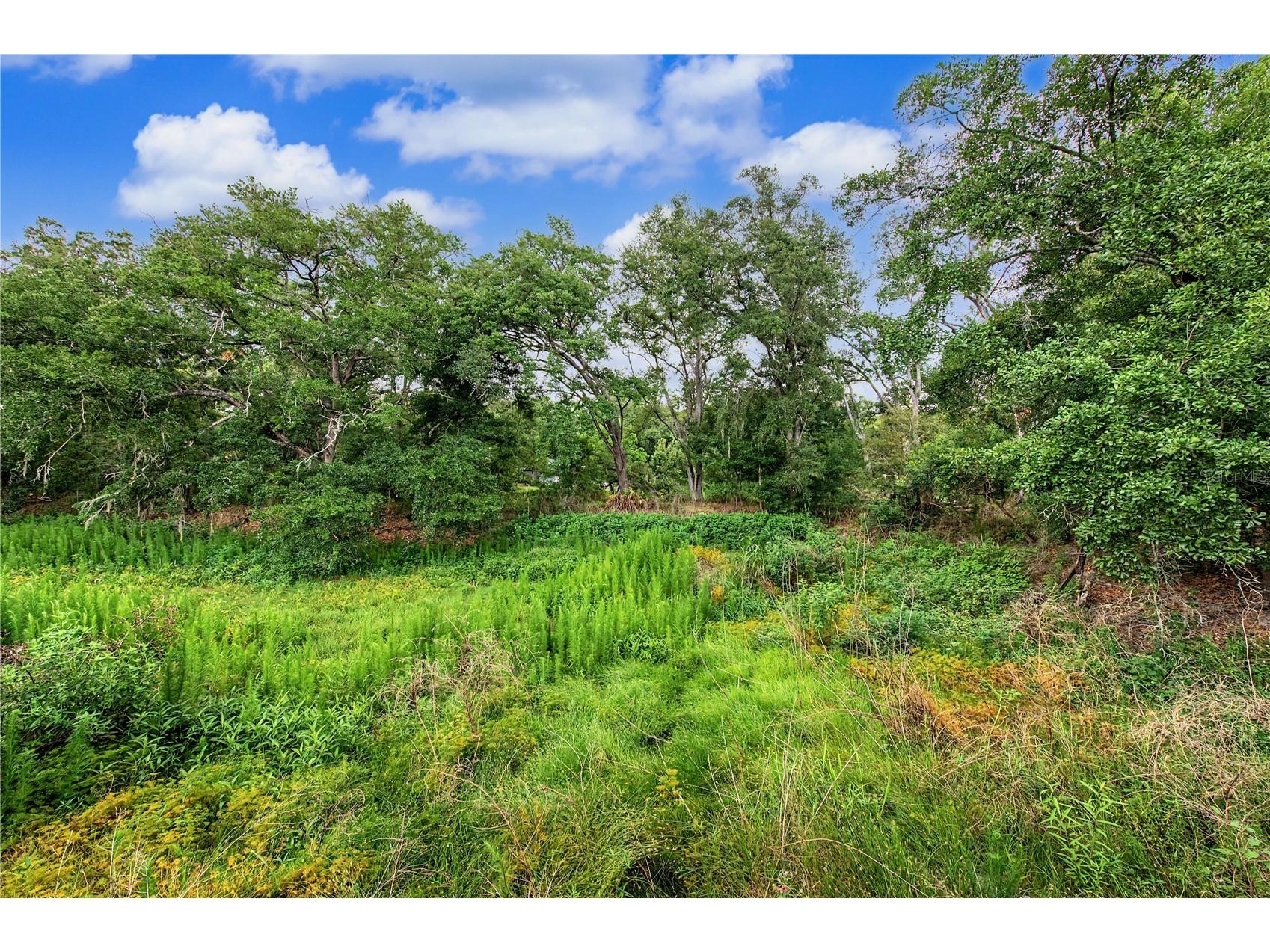 2216 Pinecrest Drive Lutz FL 33549 TB8518844 image35