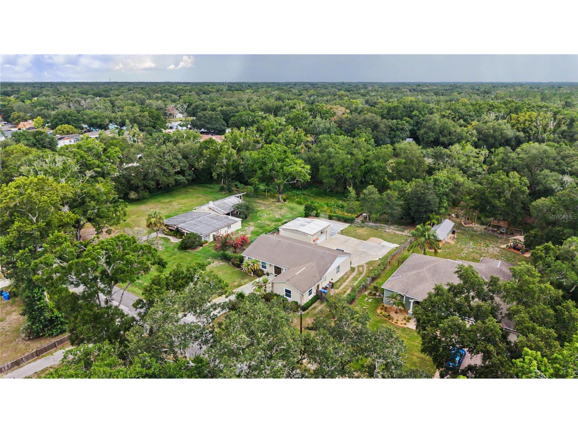2216 Pinecrest Drive Lutz FL 33549 TB8518844 image37