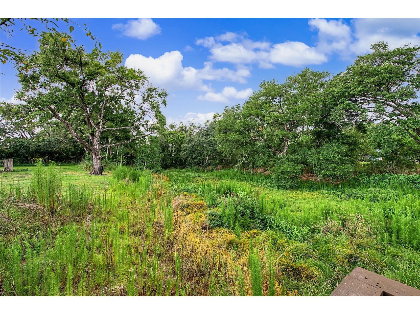 2216 Pinecrest Drive Lutz FL 33549 TB8518844 image38