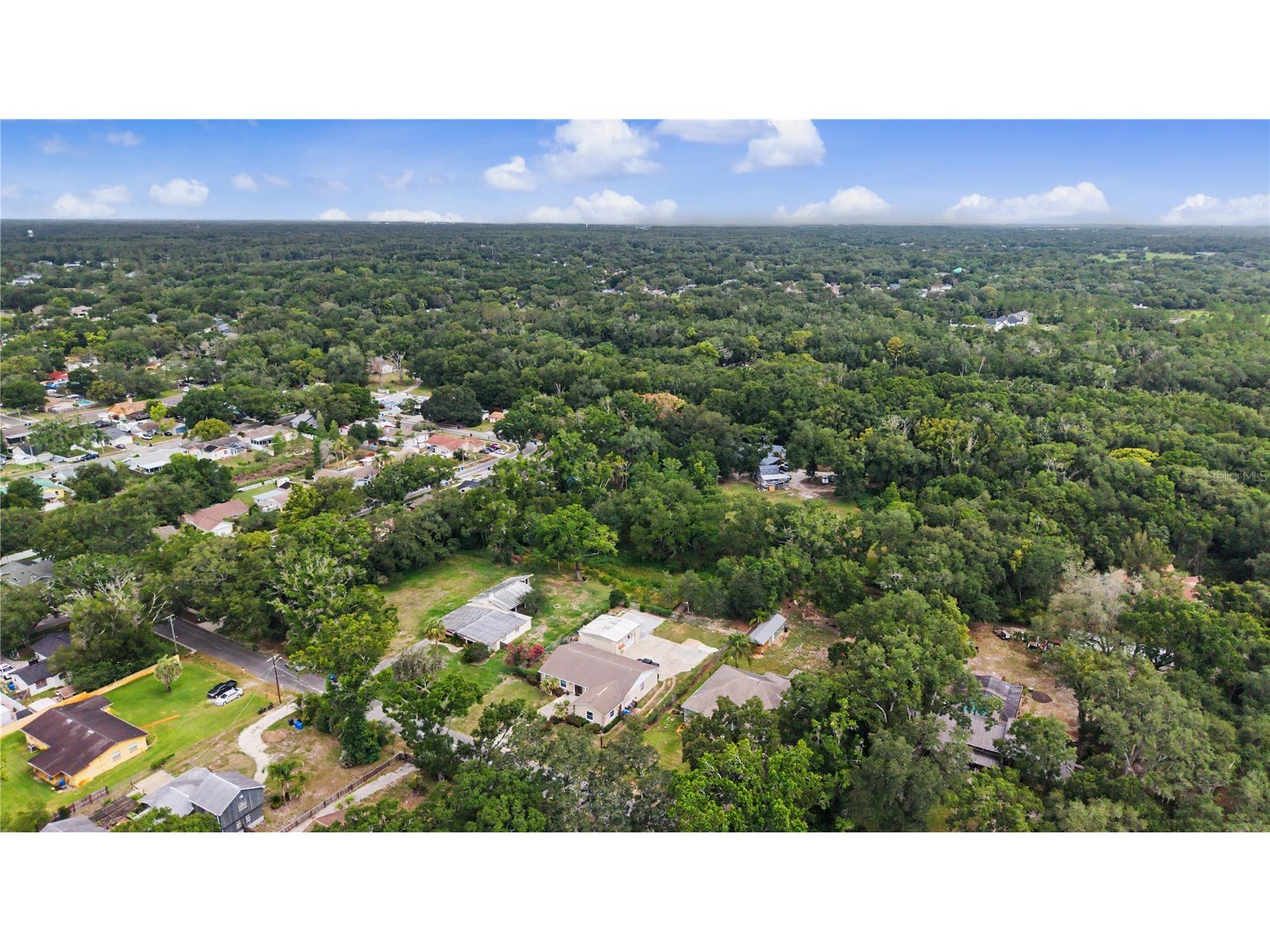 2216 Pinecrest Drive Lutz FL 33549 TB8518844 image41