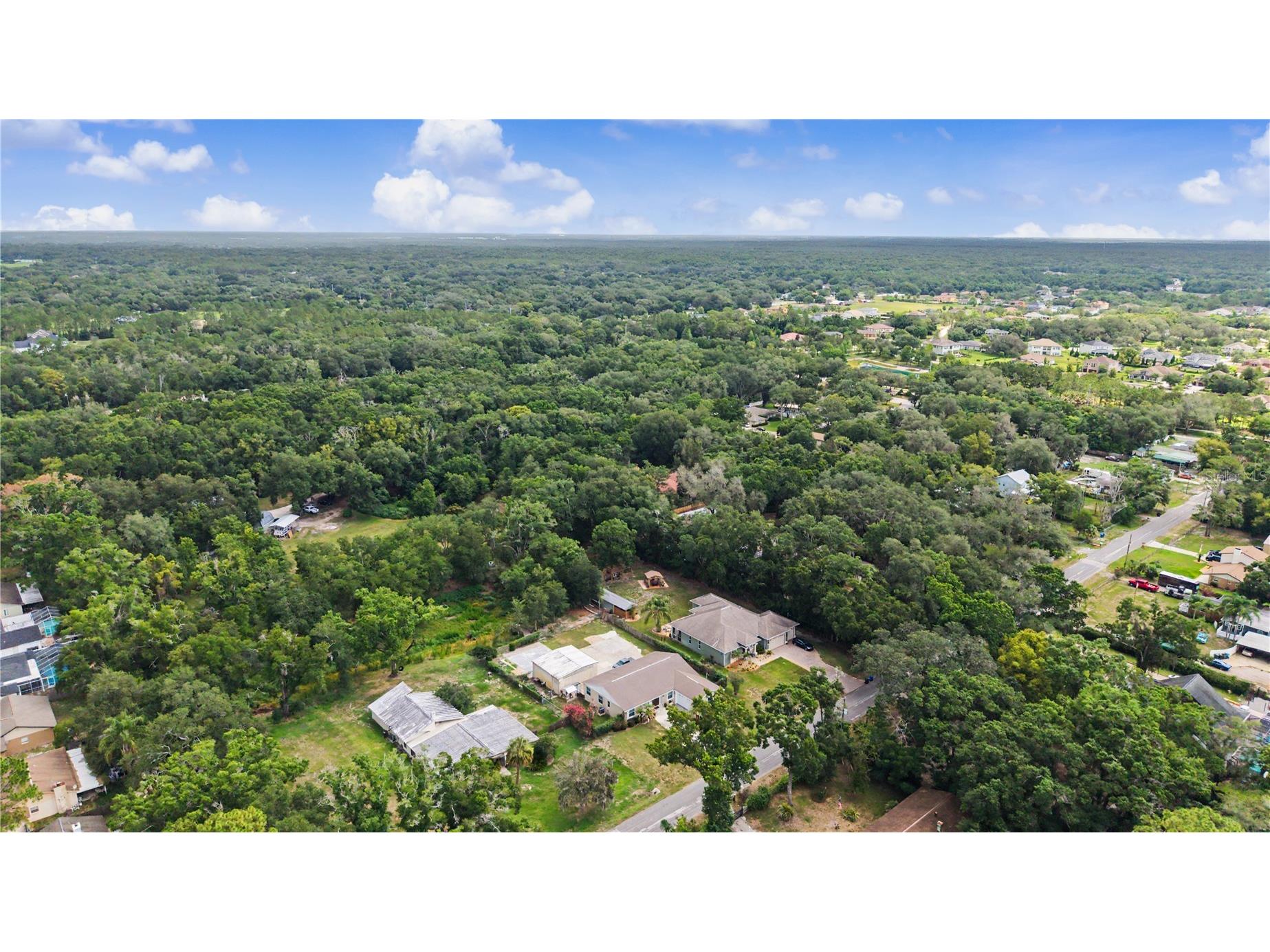 2216 Pinecrest Drive Lutz FL 33549 TB8518844 image42